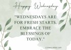 200+ Best Inspirational Wednesday Blessing Quotes