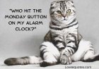 250+ Hilarious Funny Monday Quotes: Relatable & Witty