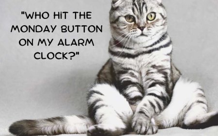 250+ Hilarious Funny Monday Quotes: Relatable & Witty