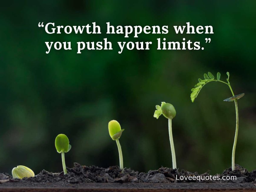 389+ Quotes By Dan Martell: Best & Top Quotes