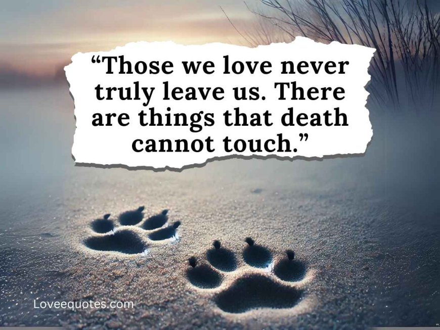 80+ Mourning Quotes for Pets: If Love Could Have Saved You
