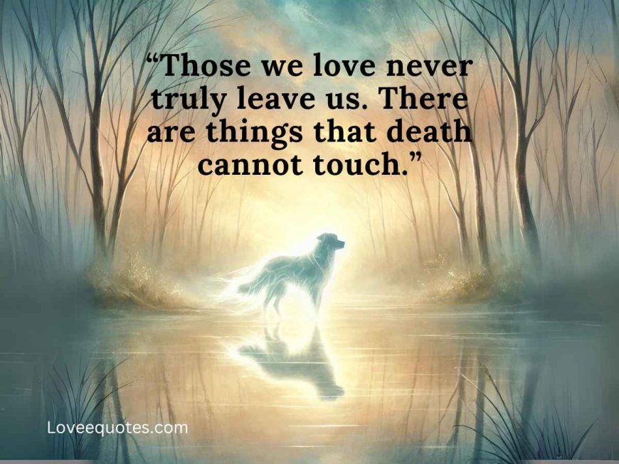 80+ Mourning Quotes for Pets: If Love Could Have Saved You