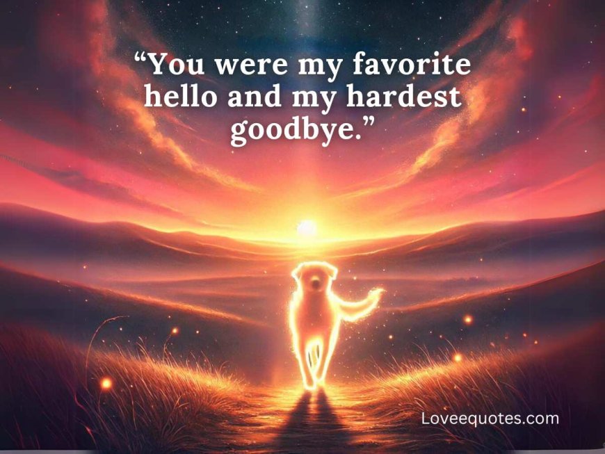80+ Mourning Quotes for Pets: If Love Could Have Saved You