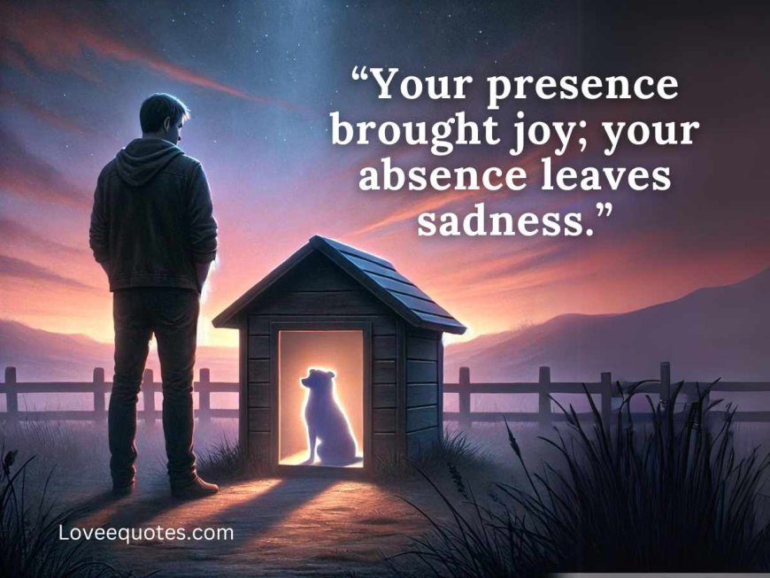 80+ Mourning Quotes for Pets: If Love Could Have Saved You