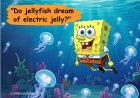 75+ SpongeBob Quotes That Will Make You Laugh and Smile