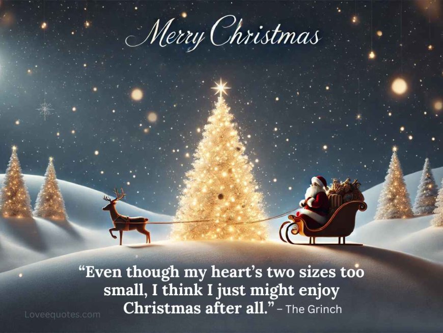 Christmas quotes & Sayings