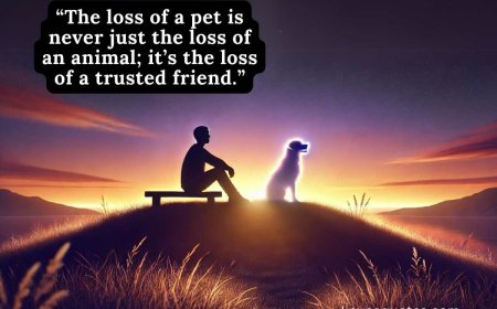 100+ Pet Loss Quotes: Comforting Words for Healing Hearts