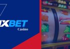 1xBet Casino Promotions in INR: Daily Bonuses, Cashback, and Reload Rewards