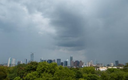 Why Wind Damage Calls for Immediate Attention in Austin Storm Recovery