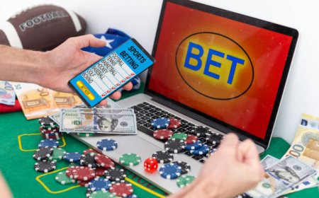 Introduction to SpinBet and Traditional Bookmakers