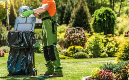 What to Include in Your Spring Yard Clean-Up Checklist for Maximum Impact