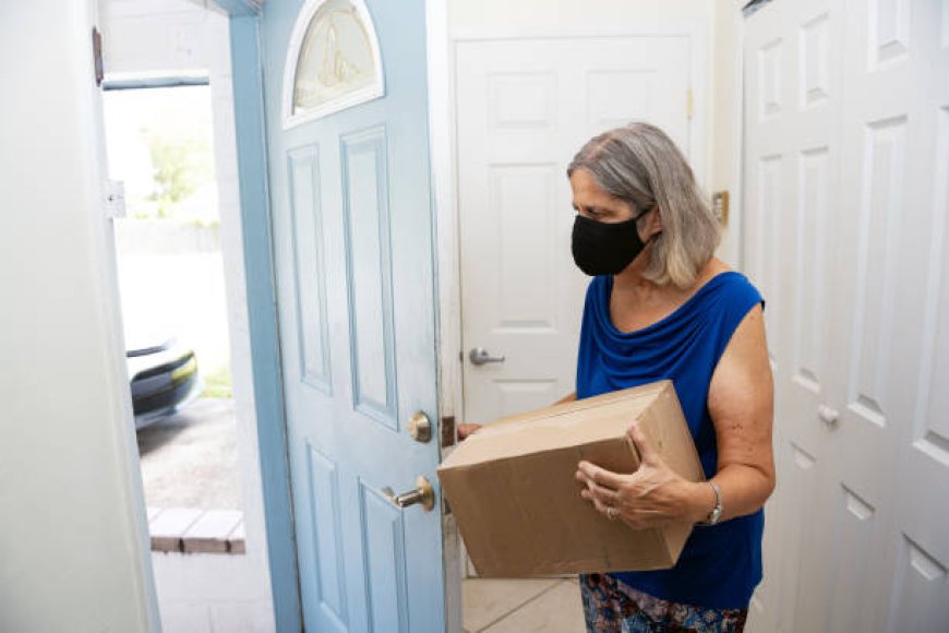 How To Verify the Credentials and License of a Pest Control Service in Orlando