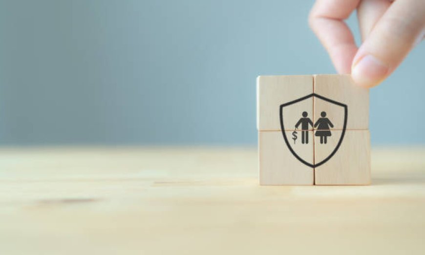 Understanding Settlement Trusts: A Shield Against Domestic Claims
