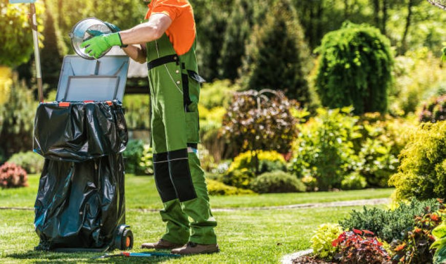 What to Include in Your Spring Yard Clean-Up Checklist for Maximum Impact