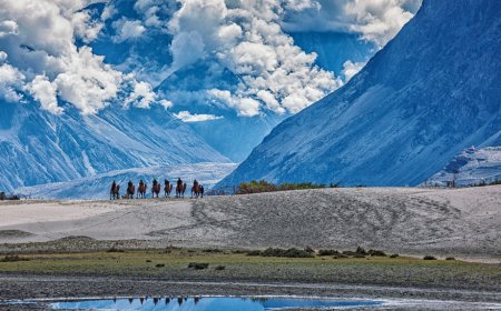 Nubra Valley: How to Plan the Perfect 2025 Trip