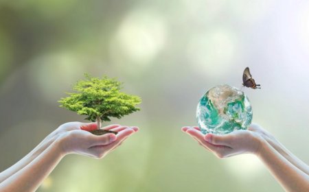 Practical Steps to Achieve Environmental Sustainability in Modern Business Operations