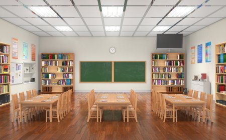 Essential Classroom Furniture Every School Should Have