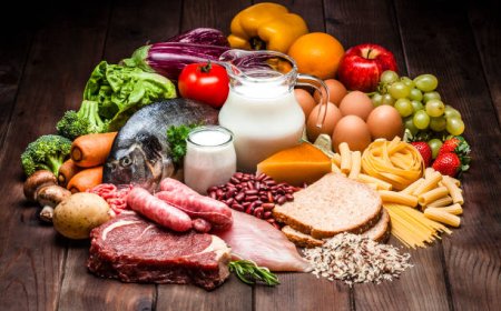 What Are the Most Profitable Food Items That You Can Sell on a Food Trailer?