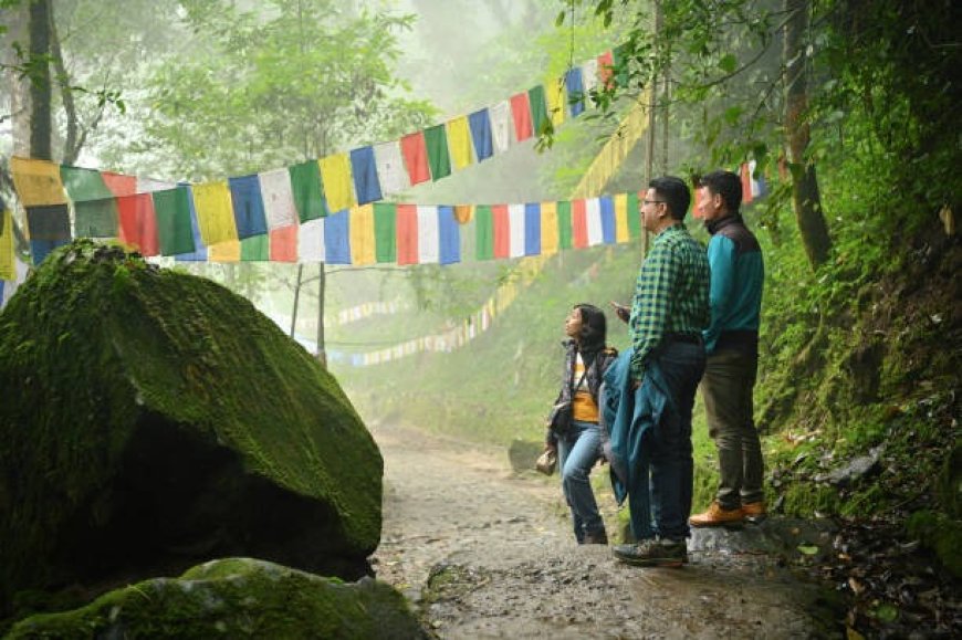 A Journey Through Traditional and Modern Entertainment in the Himalayan State Sikkim Game