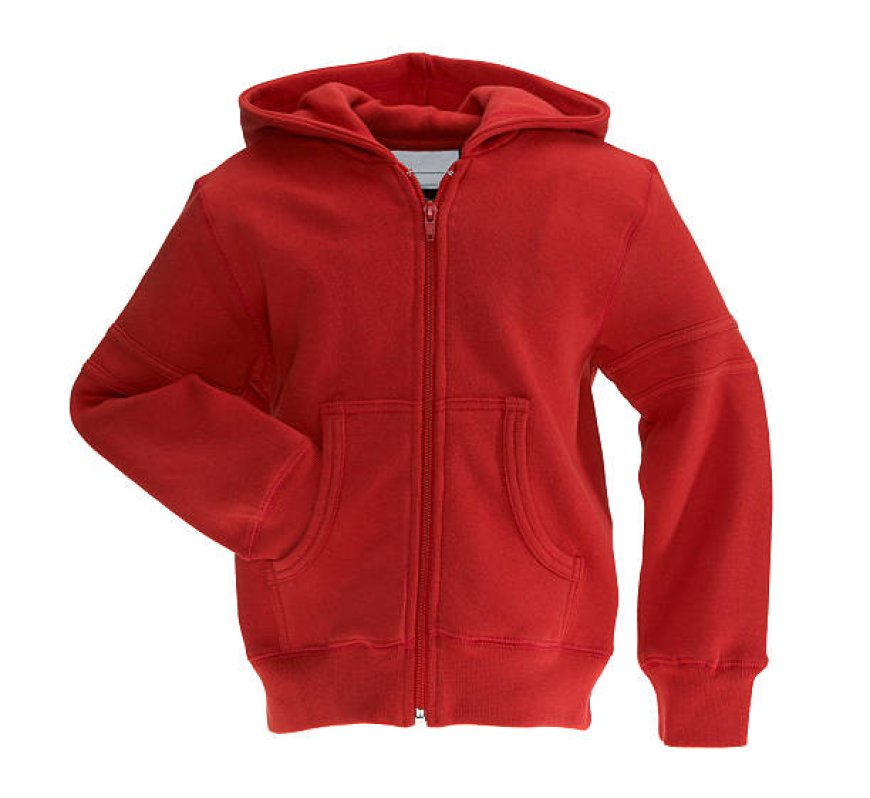 Introduction to Why You Should Buy a Tyler the Creator Hoodie