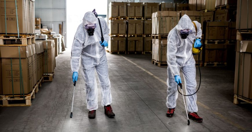 Pest Control in Distribution Warehouses: Effective Strategies for Prevention and Management