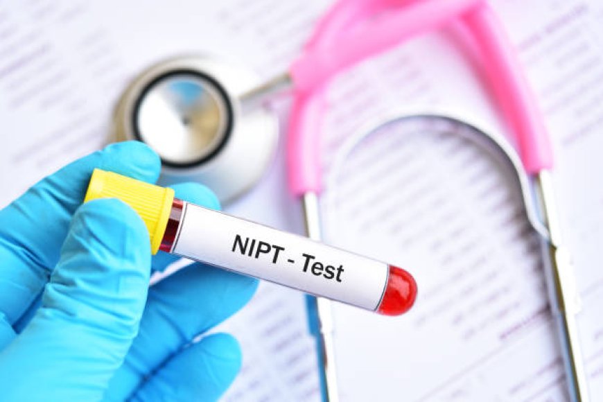 Why the NIPT Test in Pregnancy Is a Smart Choice for Expecting Parents