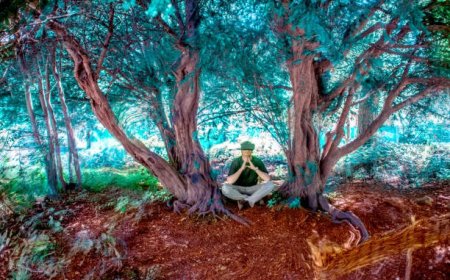 How to Create the Perfect Gaming Environment