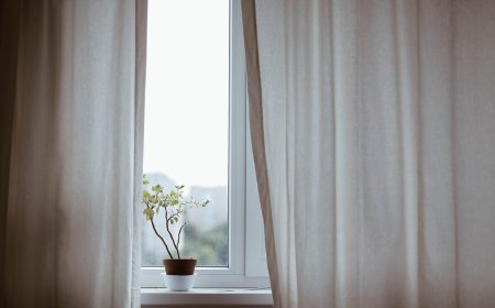 Why You Should Consider Aluminium Windows for Your Home
