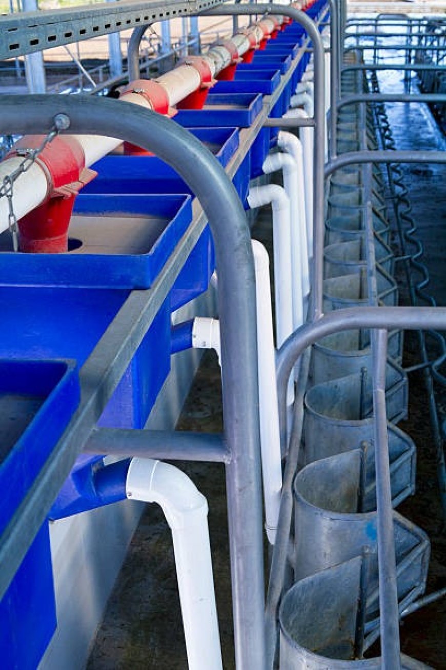 How to Maintain and Install Stock Troughs for Long-Term Performance