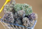 Tips for First-Time Buyers of Cannabis Flower in Phoenix