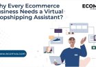 Why Every Ecommerce Business Needs a Virtual Dropshipping Assistant?
