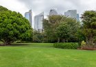 Buy Grass Near Me Sydney Wide: Your Go-To Guide for a Greener Lawn