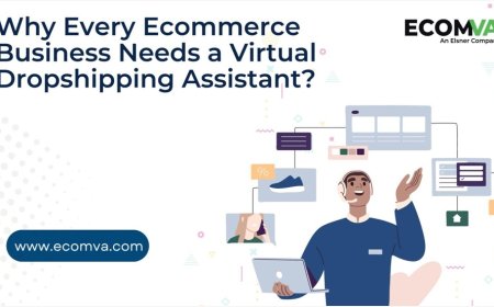 Why Every Ecommerce Business Needs a Virtual Dropshipping Assistant?