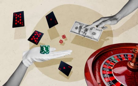 New vs Established Casinos: Where You Get Better Treatment