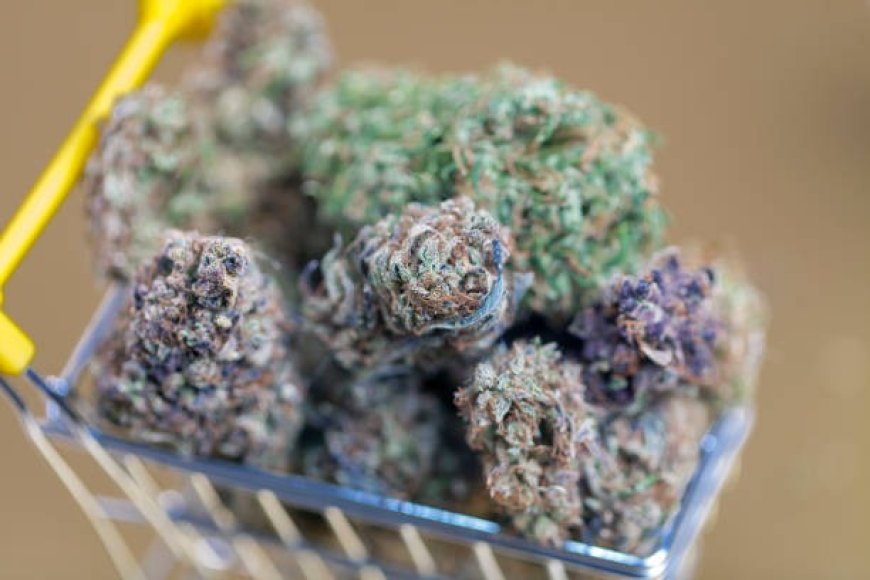 Tips for First-Time Buyers of Cannabis Flower in Phoenix