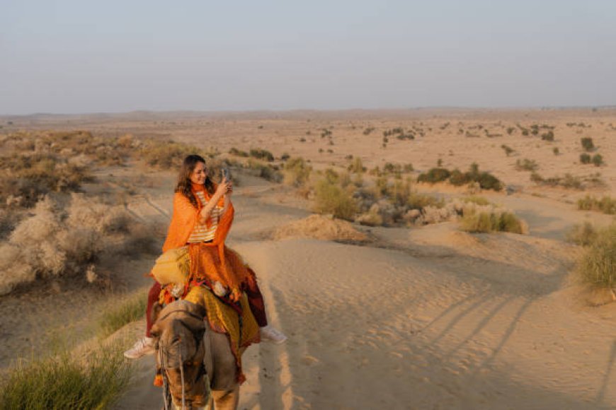 What to Expect on Jaisalmer Camel Safari Tours: From Dunes to Desert Camps