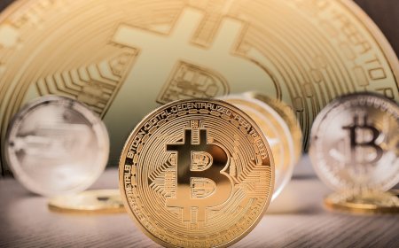 Who Are High Net Worth Individuals and How They Invest in Crypto?