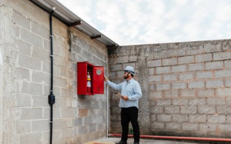 What Makes Biochar an Effective Tool for Wildfire Mitigation