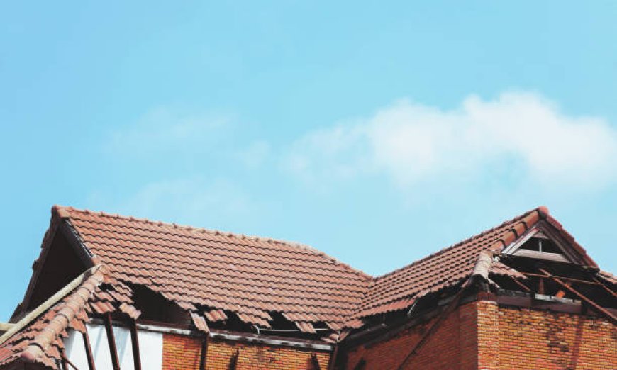 Emergency Roof Repair: What to Do When Disaster Strikes