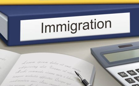 Buying an Existing Business for Immigration: Feasibility Study Essentials