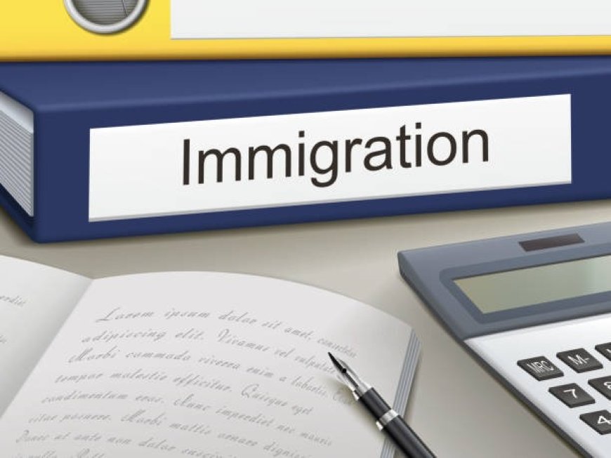 Buying an Existing Business for Immigration: Feasibility Study Essentials