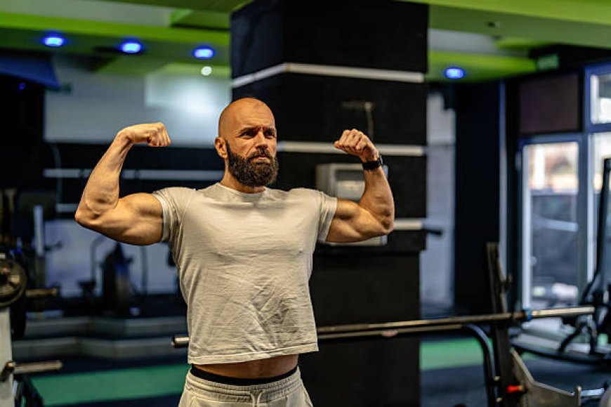 How Modern Gym Environments Support Total Wellbeing