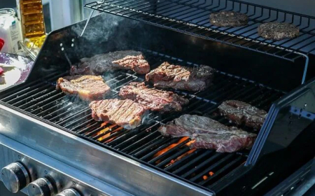 Backyard BBQ Starts Here: Finding the Perfect Grill for Every Cookout