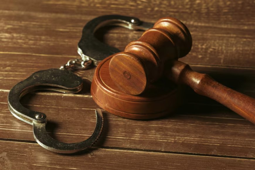 Everything You Need To Know About Article 15 And Nonjudicial Punishment